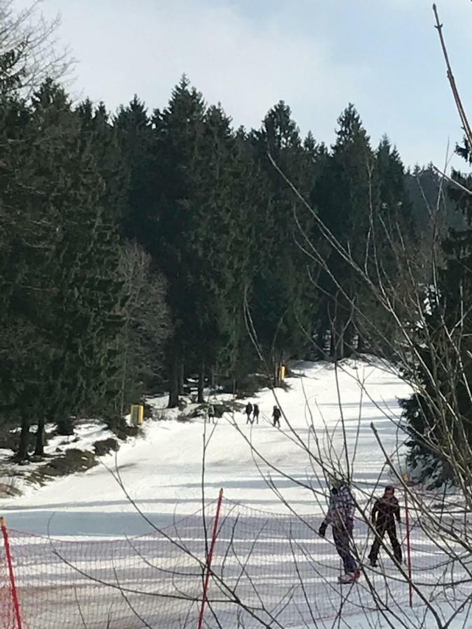 Hahnenklee Ferienpark 7-511 고슬라르 외부 사진